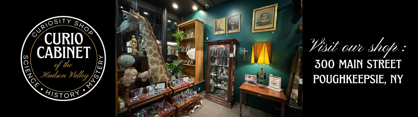 Curio Cabinet Of The Hudson Valley | AuctionNinja