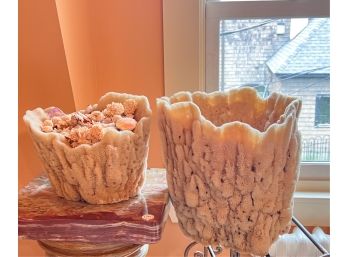 SEA SHORE DECOR: SPONGE BASKETS & SHELLS