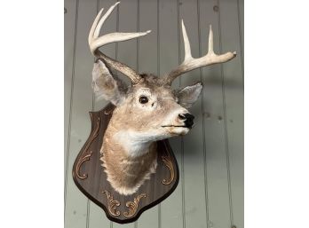 VINTAGE MOUNTED DEER HEAD