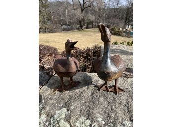 (2) CAST IRON DUCKS