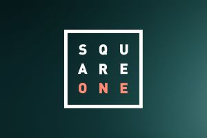 Square One Move Organizers | AuctionNinja